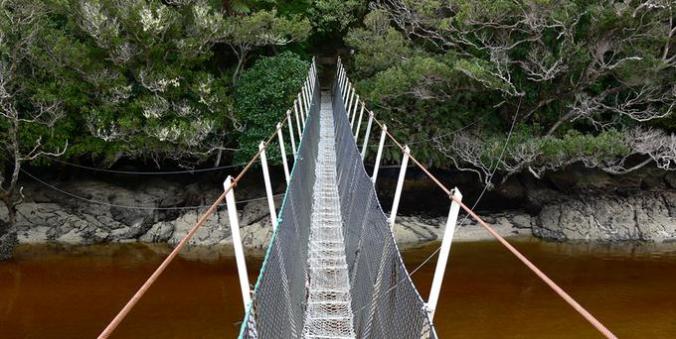 swinging-bridge