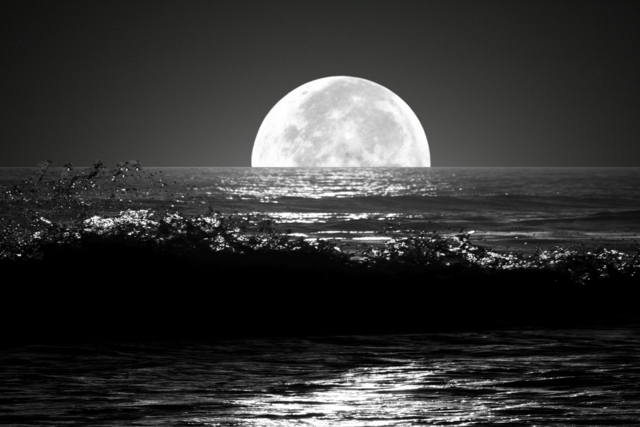 under-the-half-moon under-the-half-moon