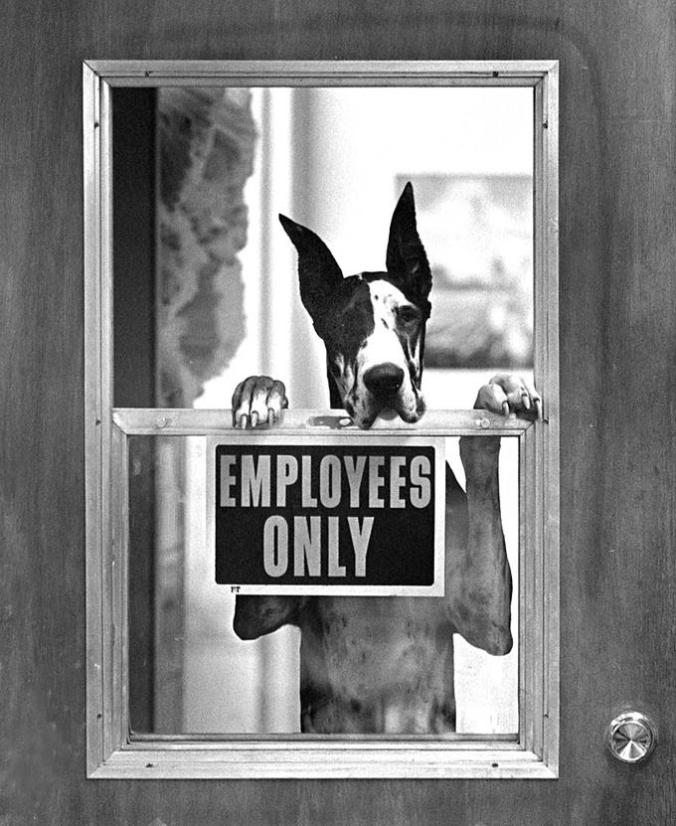 Employees Only