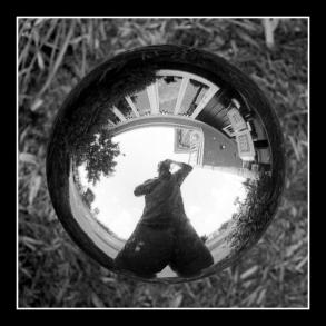Looking In