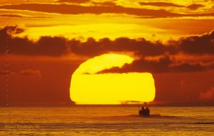 Endless Summer