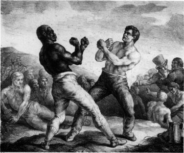 Pugilists
