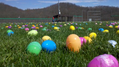 Field of Eggs