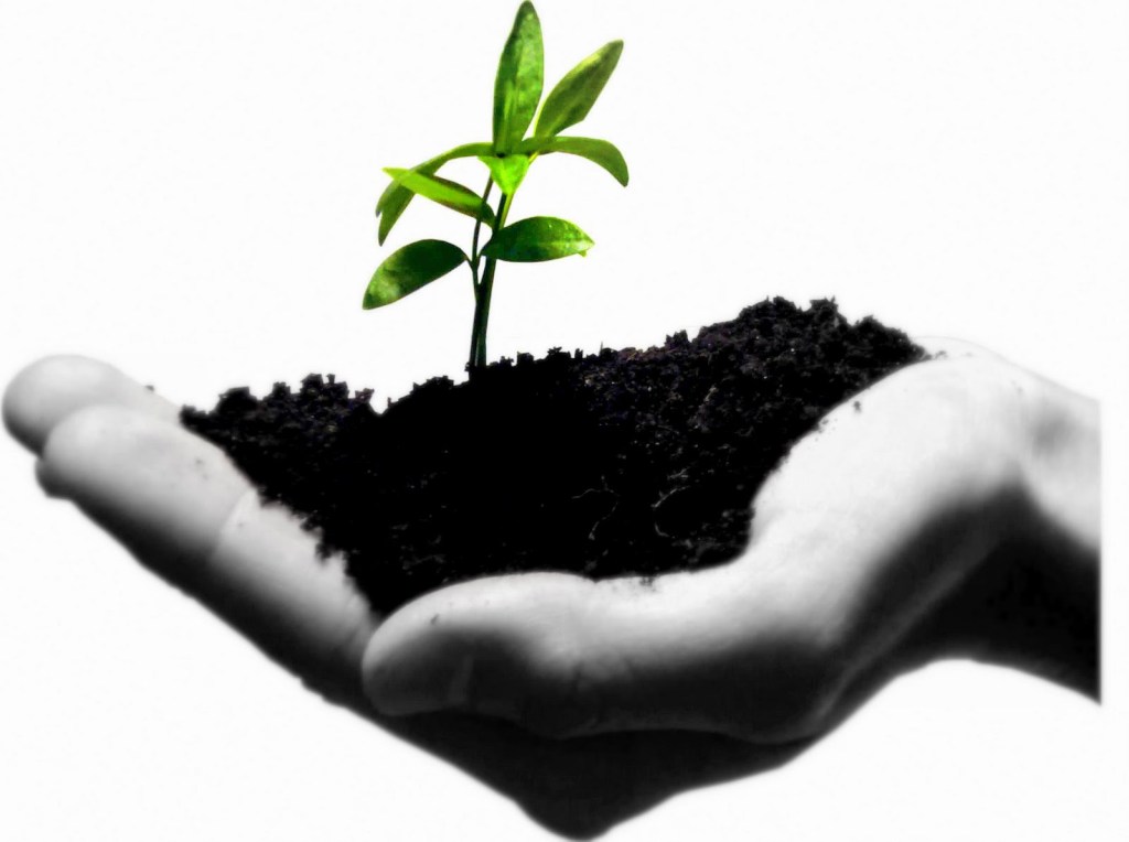 Sprout in Hand