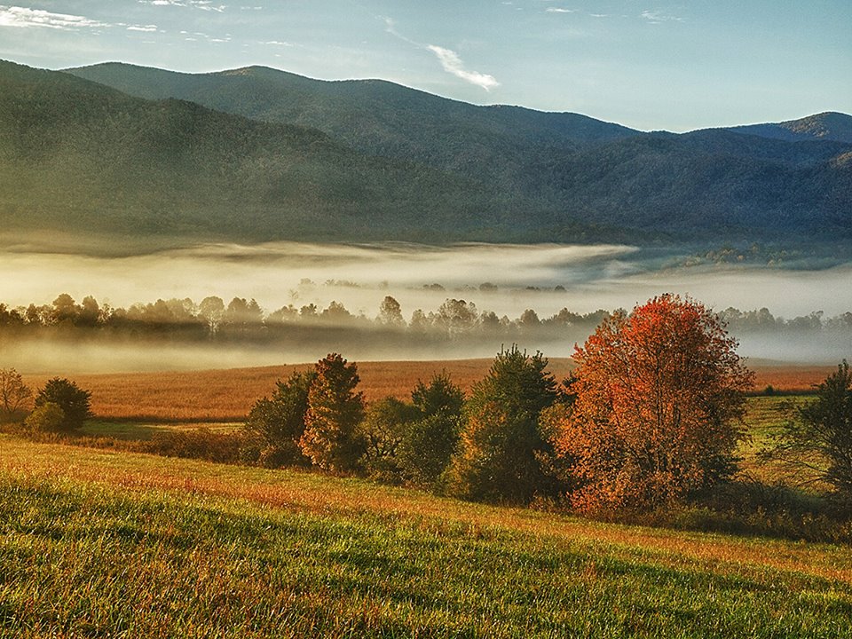 Foggy Fall @ Cades Cove