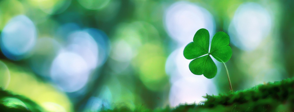 Shamrock