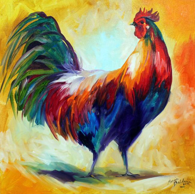 Rooster Colors
